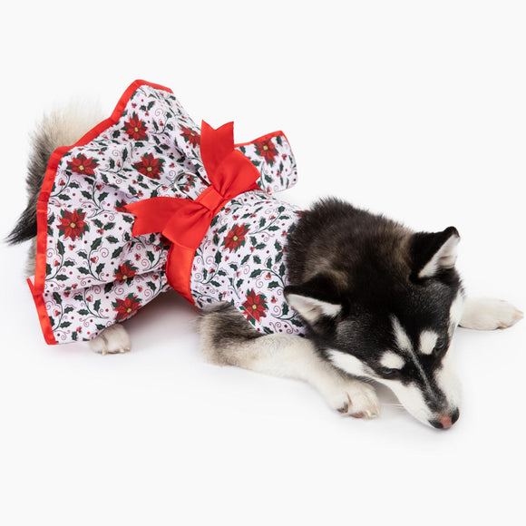 Doggie Design Holiday Harness Dress Holly for Dogs & Cats - Dog Clothing & Apparel 4