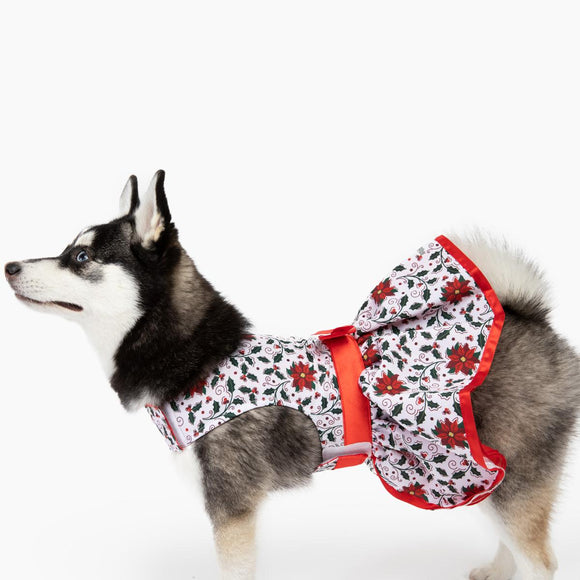 Doggie Design Holiday Harness Dress Holly for Dogs & Cats - Dog Clothing & Apparel 3