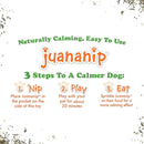 Doggijuana Get the Munchies Refillable Juananip Cheeseburger Squeaky Plush Dog Toy