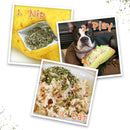 Doggijuana Get the Munchies Refillable Juananip Taco Squeaky Plush Dog Toy - Dog Toys 5