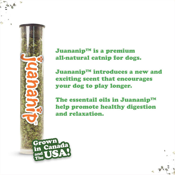Doggijuana Get the Munchies Refillable Juananip Taco Squeaky Plush Dog Toy - Dog Toys 3
