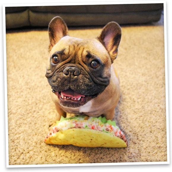 Doggijuana Get the Munchies Refillable Juananip Taco Squeaky Plush Dog Toy - Dog Toys 7