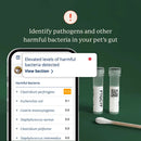 Doggy Biome At-Home Kit Gut Microbiome Health Test for Dogs - Dog Digestive & Probiotics Supplements 5