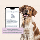 Doggy Biome At-Home Kit Gut Microbiome Health Test for Dogs - Dog Digestive & Probiotics Supplements 8