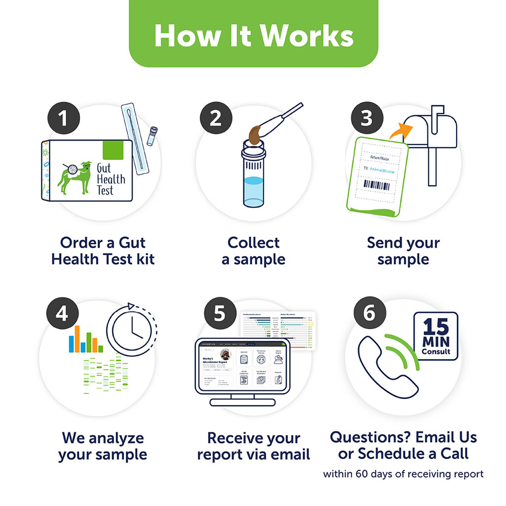DoggyBiome At-Home Kit – Test Your Dog’s Gut Microbiome