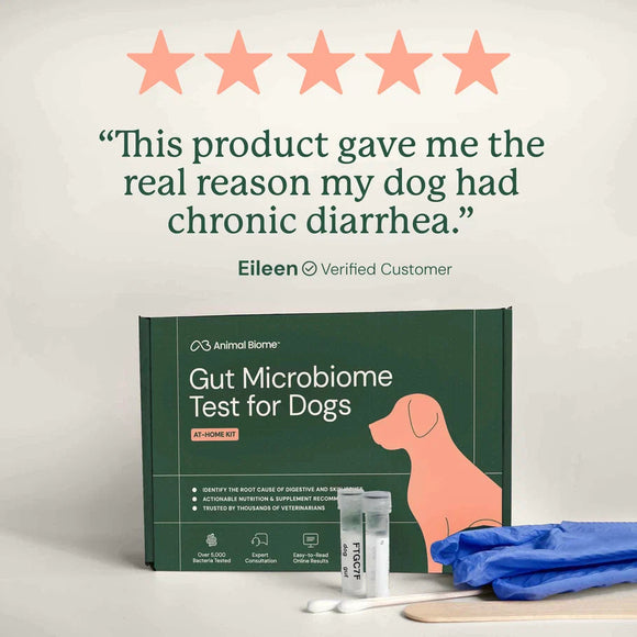 Doggy Biome At-Home Kit Gut Microbiome Health Test for Dogs - Dog Digestive & Probiotics Supplements 11