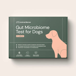 Doggy Biome At-Home Kit Gut Microbiome Health Test for Dogs - Dog Digestive & Probiotics Supplements 1