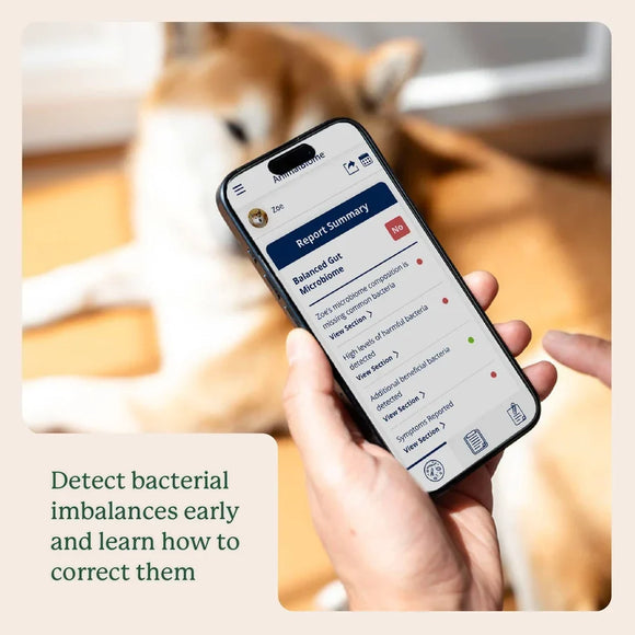 Doggy Biome At-Home Kit Gut Microbiome Health Test for Dogs - Dog Digestive & Probiotics Supplements 7