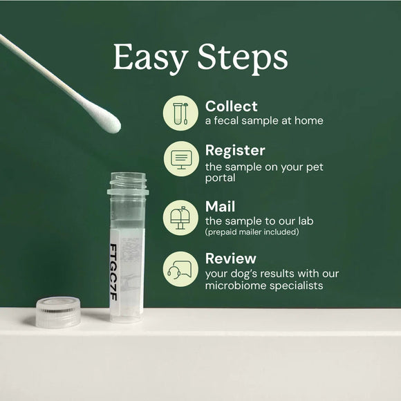 Doggy Biome At-Home Kit Gut Microbiome Health Test for Dogs - Dog Digestive & Probiotics Supplements 4