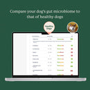 Doggy Biome At-Home Kit Gut Microbiome Health Test for Dogs - Dog Digestive & Probiotics Supplements 6