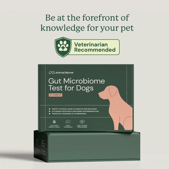 Doggy Biome At-Home Kit Gut Microbiome Health Test for Dogs - Dog Digestive & Probiotics Supplements 2