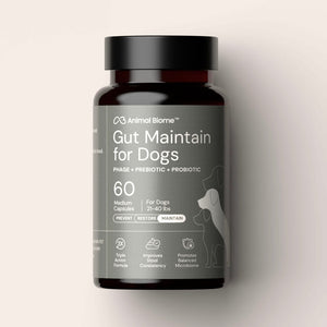 Doggy Biome GMP Gut Maintenance Plus for Dogs 60-count - Dog Digestive & Probiotics Supplements 1