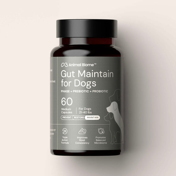 Doggy Biome GMP Gut Maintenance Plus for Dogs 60-count - Dog Digestive & Probiotics Supplements 1