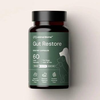 Doggy Biome Gut Restore Supplement FMT Capsules for Dogs - 21 to 40-lbs / 60 - Dog Digestive & Probiotics Supplements 1