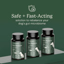 Doggy Biome Gut Restore Supplement FMT Capsules for Dogs - Dog Digestive & Probiotics Supplements 9