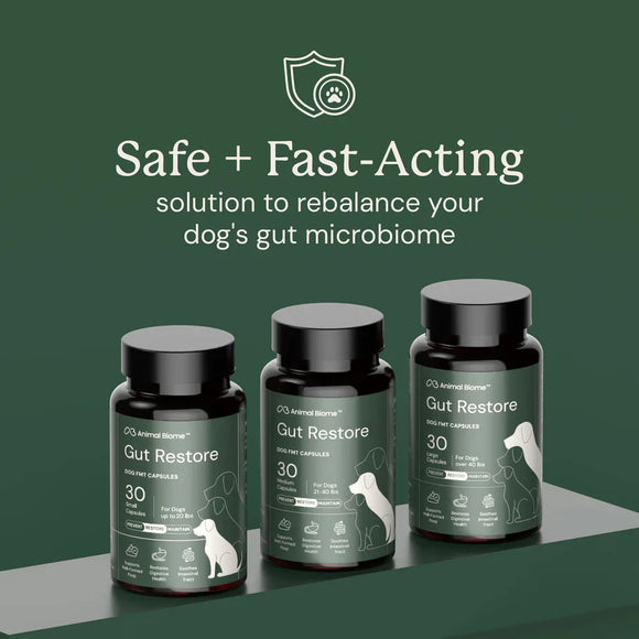 Doggy Biome Gut Restore Supplement FMT Capsules for Dogs - Dog Digestive & Probiotics Supplements 9
