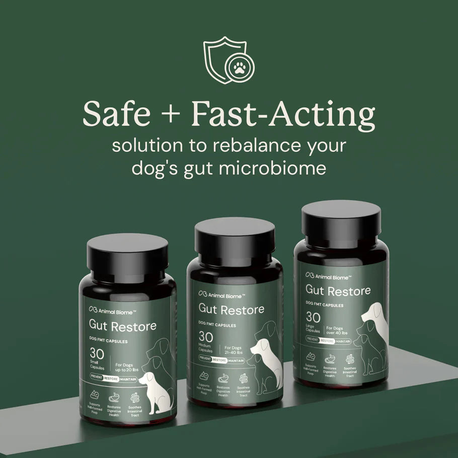 DoggyBiome Gut Restore Supplement – FMT Capsules for Dogs