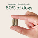 Doggy Biome Gut Restore Supplement FMT Capsules for Dogs - Dog Digestive & Probiotics Supplements 3