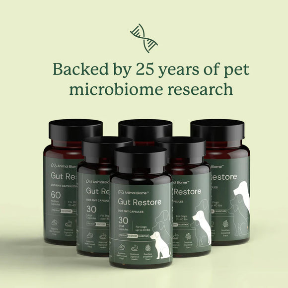 Doggy Biome Gut Restore Supplement FMT Capsules for Dogs - Dog Digestive & Probiotics Supplements 8