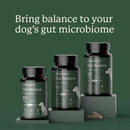 Doggy Biome Gut Restore Supplement FMT Capsules for Dogs - Dog Digestive & Probiotics Supplements 7
