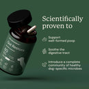 Doggy Biome Gut Restore Supplement FMT Capsules for Dogs - Dog Digestive & Probiotics Supplements 4