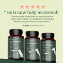 Doggy Biome Gut Restore Supplement FMT Capsules for Dogs - Dog Digestive & Probiotics Supplements 5