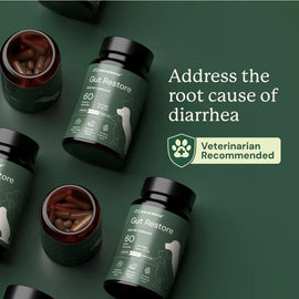 Doggy Biome Gut Restore Supplement FMT Capsules for Dogs - Dog Digestive & Probiotics Supplements 2