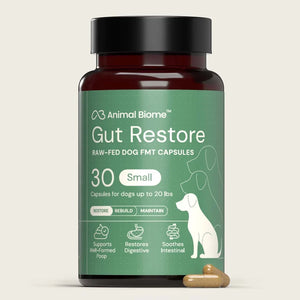 Doggy Biome Gut Restore Supplement Raw-Fed FMT Capsules for Dogs - Up to 20-lbs / 30 - Dog Digestive & Probiotics