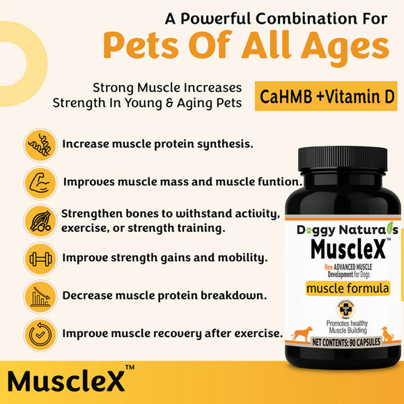Doggy Nature's MuscleX muscle formula supplement for dogs with text about its benefits on a yellow background.