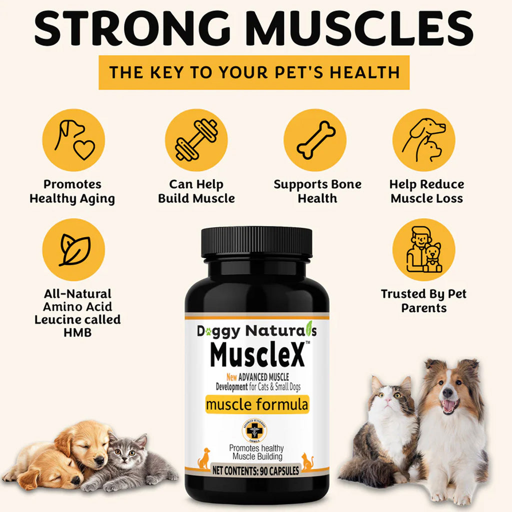 MuscleX Advance Muscle Development Supplement for Dogs & Cats