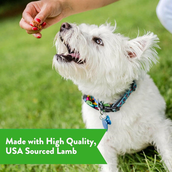 Dogswell Gut Health Lamb Jerky Treats For Dogs (10 oz)
