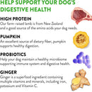 Dogswell Gut Health Mini Jerky Lamb Functional Soft & Chewy Treats For Dogs (4 oz)