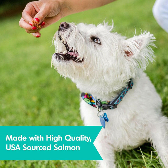 Dogswell Jerky Skin & Coat Salmon Grain-Free Treats For Dogs (10 oz)