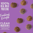 Dogswell Skin & Coat Duck Recipe Meatballs Treats For Dogs (14 oz)