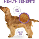 Dogswell Skin & Coat Soft & Chewy Salmon Flavored Treats For Dogs (14 oz)