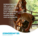 Dormosedan (Detomidine hydrochloride) Gel for Horses - 3ml Syringe - Pet Medicine 2
