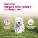 Douxo S3 CALM Soothing Itchy Hydrated Skin Dog & Cat Mousse (5.1 oz) - All Dog Grooming 3