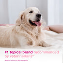 Douxo S3 CALM Soothing Itchy Hydrated Skin Dog & Cat Mousse (5.1 oz) - All Dog Grooming 4