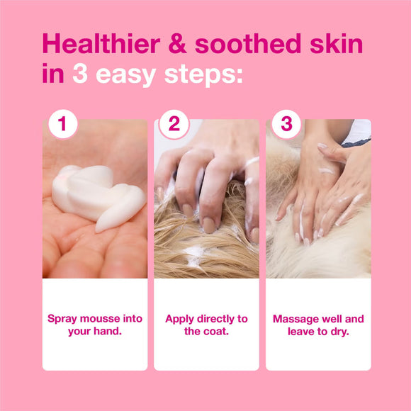 Douxo S3 CALM Soothing Itchy Hydrated Skin Dog & Cat Mousse (5.1 oz) - All Dog Grooming 7