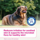 Douxo S3 CALM Soothing Itchy Hydrated Skin Dog & Cat Shampoo - Dog & Cat Shampoo 9