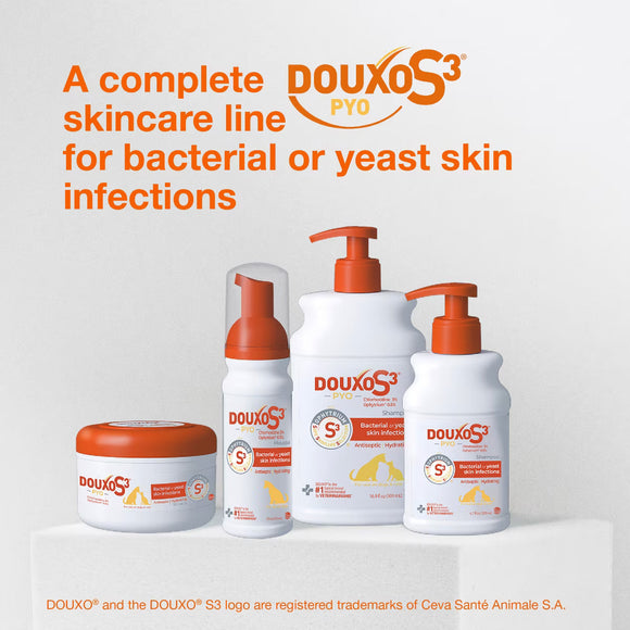 Douxo S3 PYO Antiseptic Antifungal Chlorhexidine Dog & Cat Shampoo - Dog Grooming 10