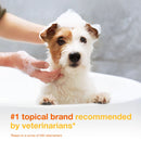 Douxo S3 PYO Antiseptic Antifungal Chlorhexidine Dog & Cat Shampoo - Dog Grooming 5