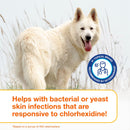 Douxo S3 PYO Antiseptic Antifungal Chlorhexidine Dog & Cat Shampoo - Dog Grooming 9