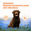 Douxo S3 PYO Antiseptic Antifungal Chlorhexidine Dog & Cat Shampoo - Dog Grooming 4