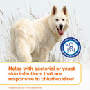 Douxo S3 PYO Antiseptic Antifungal Chlorhexidine Dog & Cat Wipes - All Dog Grooming 8