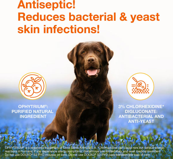 Douxo S3 PYO Antiseptic Antifungal Chlorhexidine Dog Mousse (5.1 oz) - Dog Grooming 2