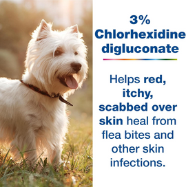 Douxo S3 PYO Antiseptic Antifungal BUNDLE for Skin Infections - Dog Grooming 3
