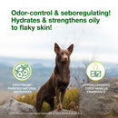 Douxo S3 SEB Odor-Control Seboregulating Dog & Cat Shampoo - Medicated Shampoos & Sprays 4