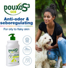 Douxo S3 SEB Odor-Control & Seboregulating Shampoo - Medicated Shampoos & Sprays 2