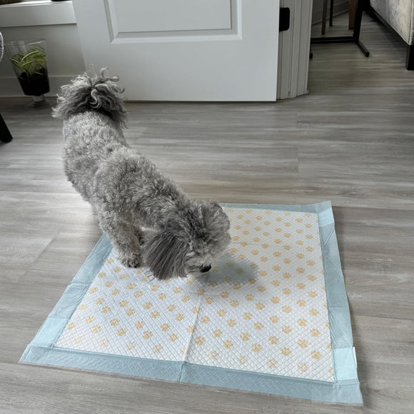 Dr. Bales Early Detection Health Monitoring Pee Pads for Dogs (22in x 22in)